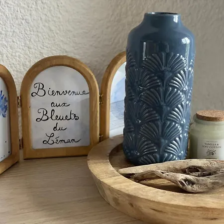 Bleuets Du Leman Vue Sur Lägenhet
