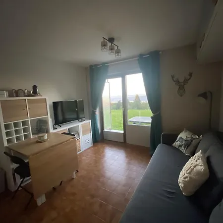 Bleuets Du Leman Vue Sur Lägenhet