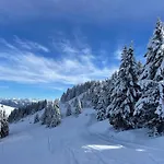 Bleuets Du Léman Vue Sur