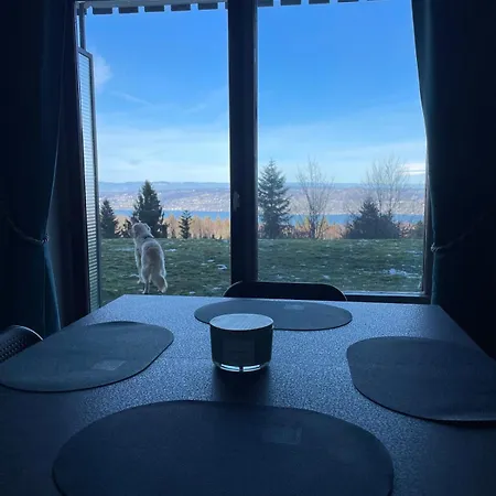 Bleuets Du Leman Vue Sur Lejlighed *