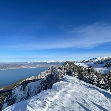 Bleuets Du Léman Vue Sur Apartamento