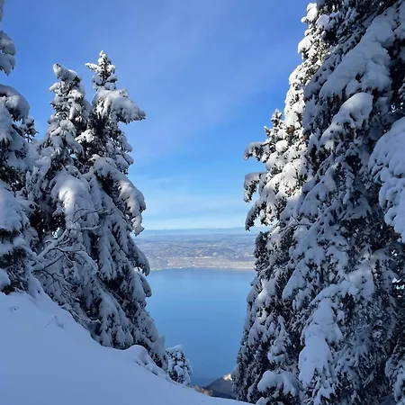 Bleuets Du Leman Vue Sur Lejlighed
